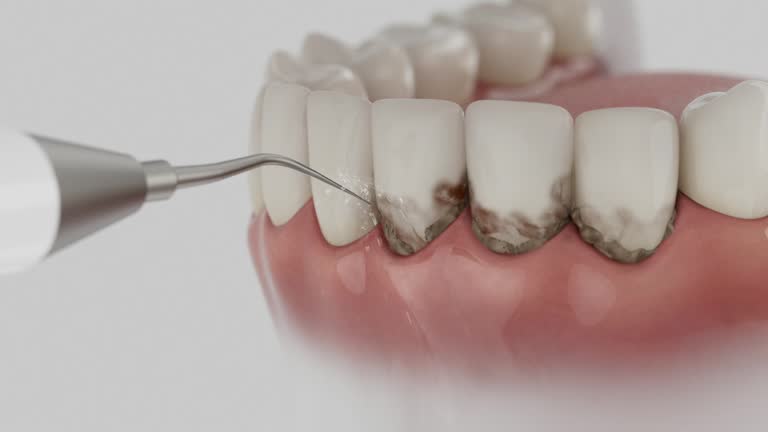 Reliable Dental contractor in Riva, MD by Dentist Open Now
